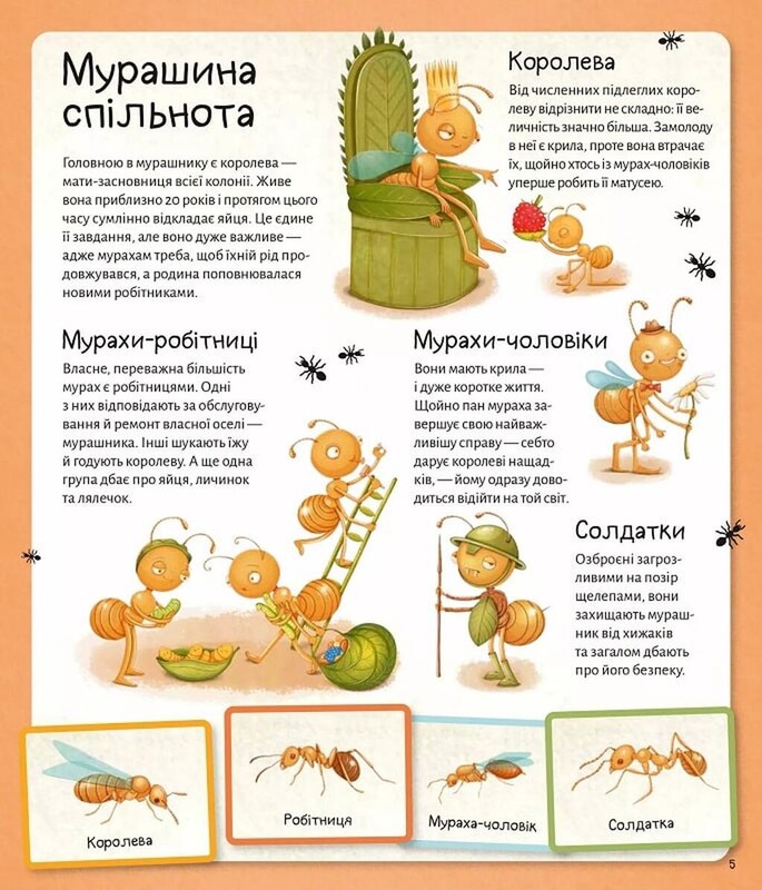 Світ мурах / Штєпанка Секанінова