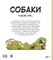 Фото - Собаки чудові, але... / Штєпанка Секанінова | click.ua