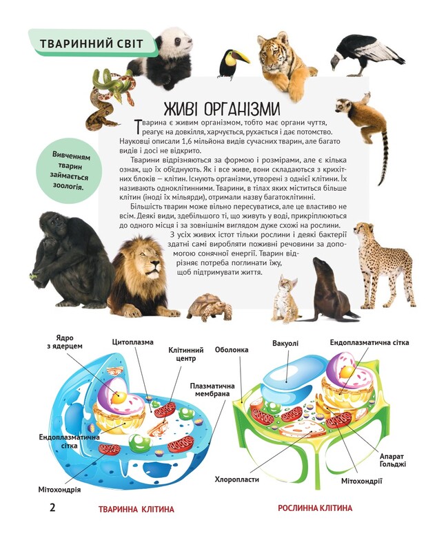 Животные. Важные факты и подробные схемы
