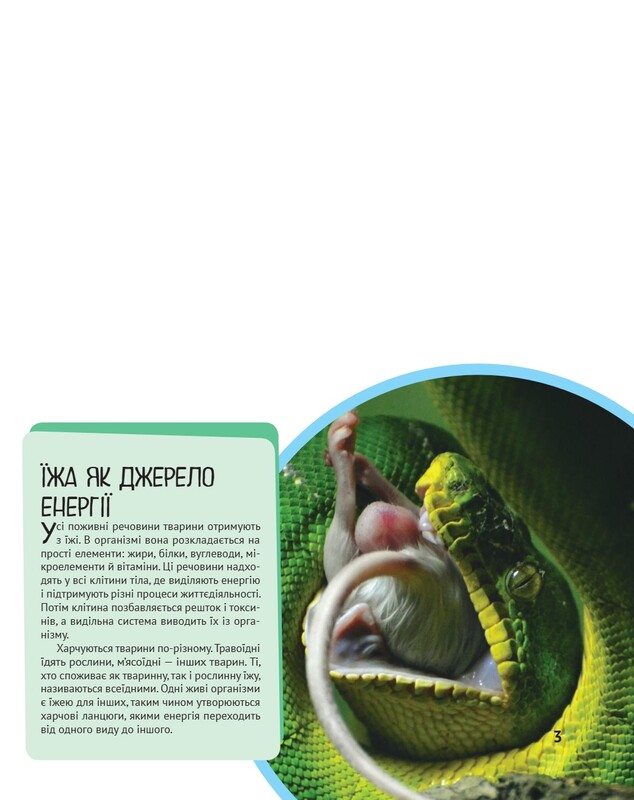 Животные. Важные факты и подробные схемы