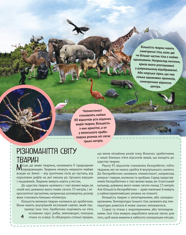 Животные. Важные факты и подробные схемы