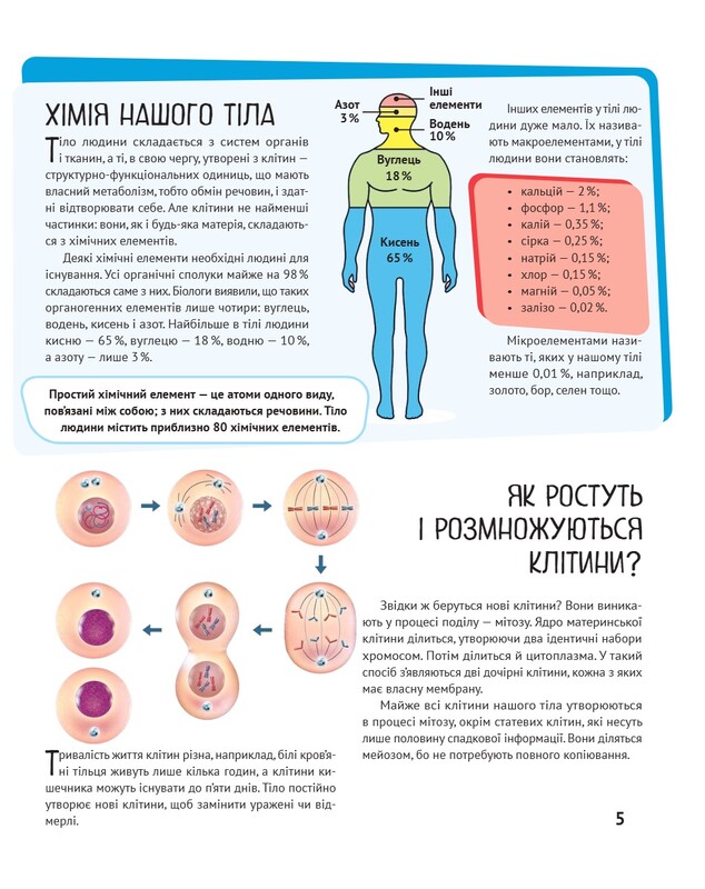 Тело человека. Важные факты и подробные схемы