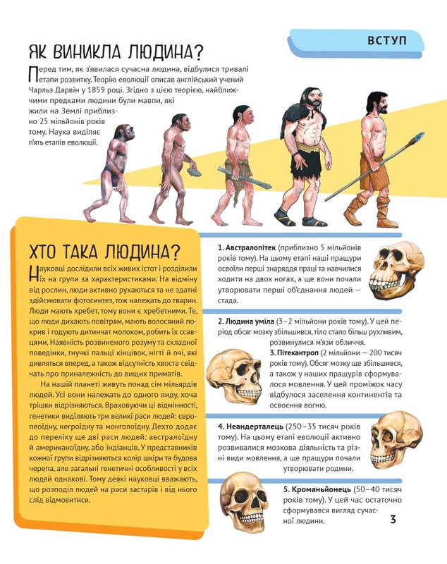 Тело человека. Важные факты и подробные схемы