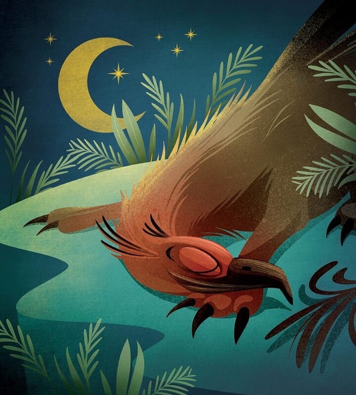 Большая книга фантастических существ / Джузеппе Д`Анна