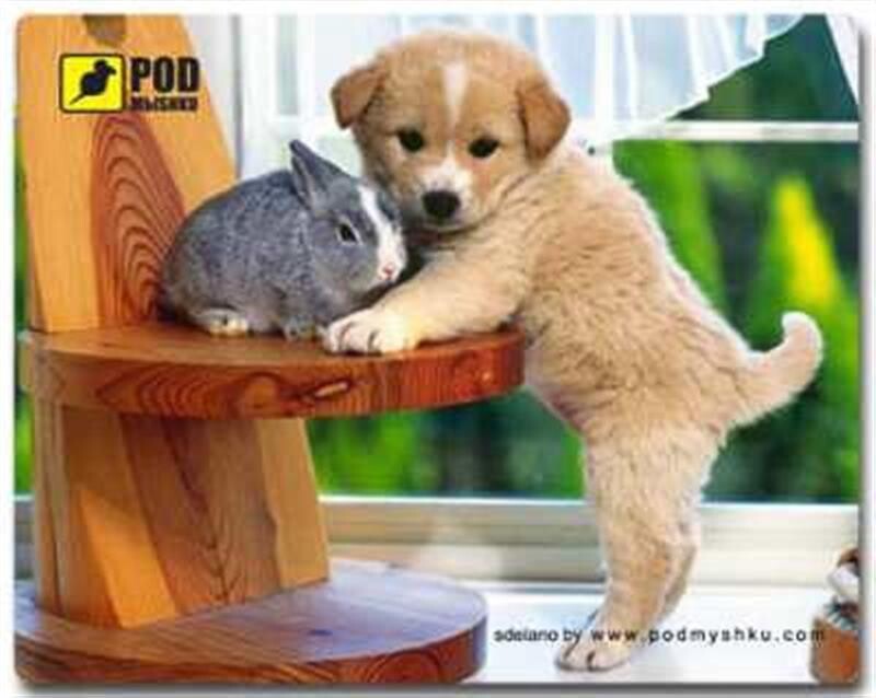 Коврик для мыши Podmyshku Щеночек