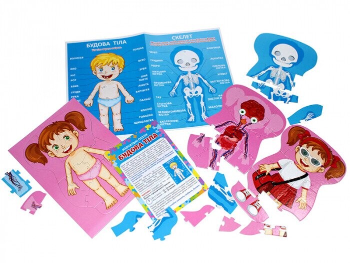 Навчальні пазли. Будова тіла