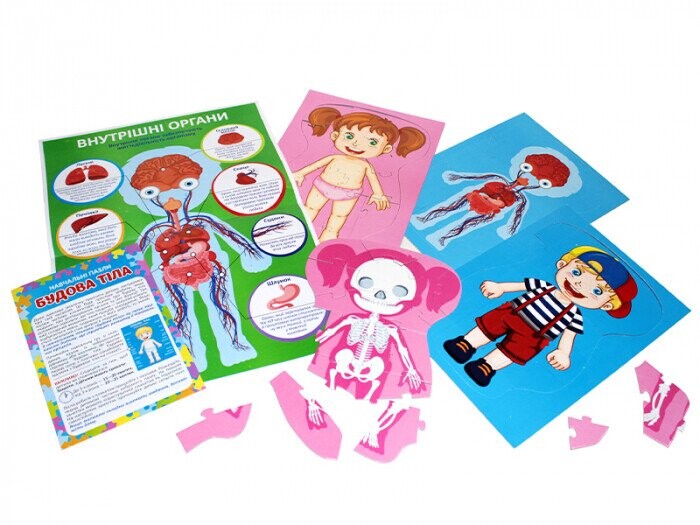 Навчальні пазли. Будова тіла