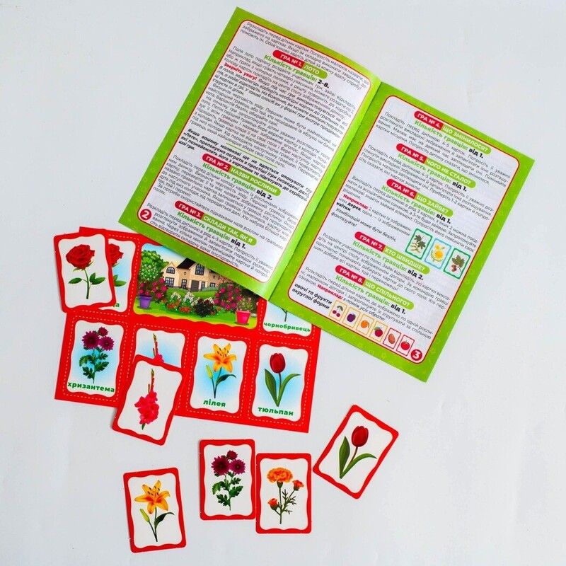 Моє перше лото. Вивчаємо рослини