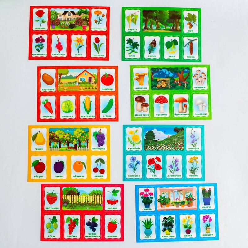 Моє перше лото. Вивчаємо рослини