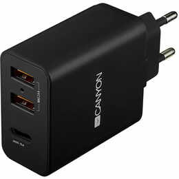 Мережевий зарядний пристрій Canyon (2USB, 2.4A) Black (CNE-CHA08B)