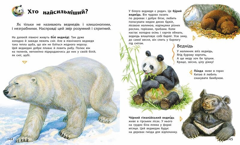 Енциклопедія дошкільника / Юлія Каспарова