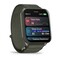 Фото - Смарт-часы Garmin Venu X1 Moss Titanium with Moss Nylon (010-02980-23) | click.ua