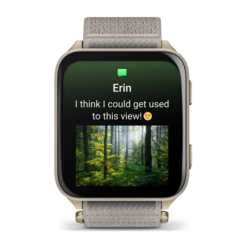 Смарт-часы Garmin Venu X1 Soft Gold Titanium with French Grey Nylon (010-02980-33)