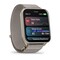 Фото - Смарт-часы Garmin Venu X1 Soft Gold Titanium with French Grey Nylon (010-02980-33) | click.ua