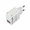 Фото - Сетевое зарядное устройство Canyon (1USB, 2.1A) White/Silver (CNE-CHA043WS) + кабель Lightning | click.ua