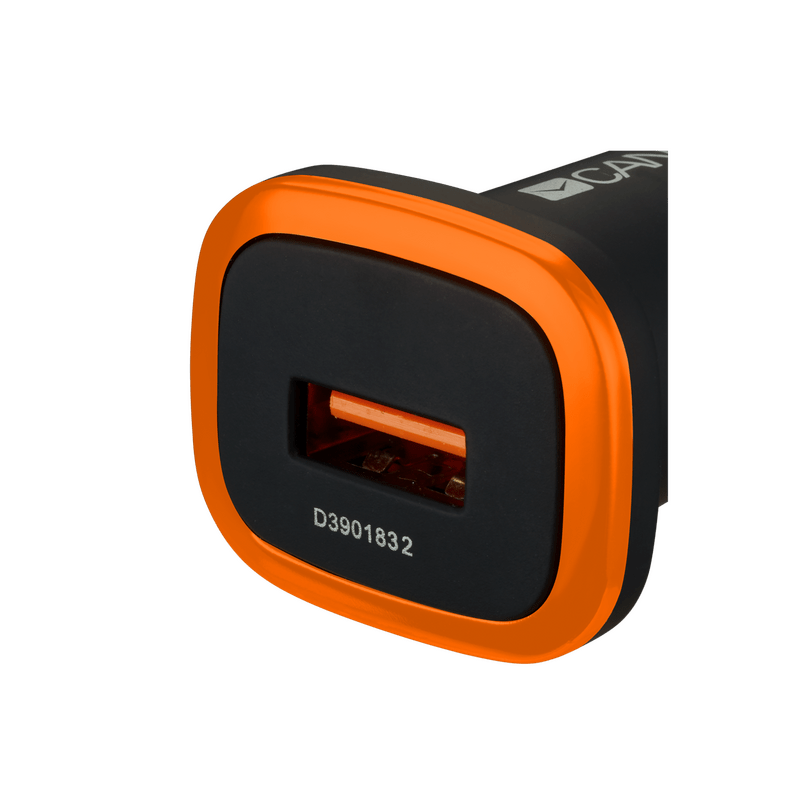 Автомобильное зарядное устройство Canyon (1USB, 1A) Black (CNE-CCA01B)