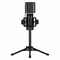 Фото - Мікрофон Streamplify MIC TRIPOD-48-RGB-TP Black (SPMC-MZ1C127.11) | click.ua