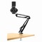 Фото - Мікрофон Streamplify MIC ARM-48-RGB-MA Black (SPMC-MZ1C227.11) | click.ua