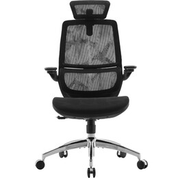 Кресло офисное Sihoo M59AS Mesh Black (DM59AS-M302)