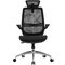Фото - Крісло офісне Sihoo M59AS Mesh Black (DM59AS-M302) | click.ua