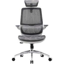 Крісло офісне Sihoo M59AS Mesh Gray (M59AS-M301)