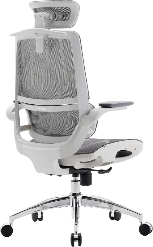 Кресло офисное Sihoo M59AS Mesh Gray (M59AS-M301)