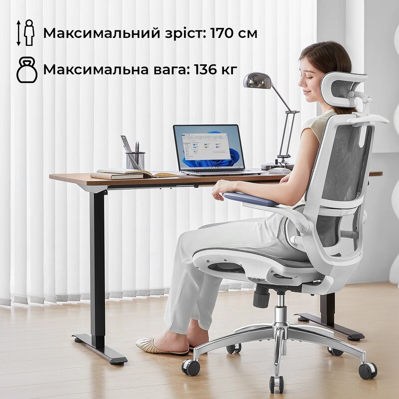 Кресло офисное Sihoo M59AS Mesh Gray (M59AS-M301)