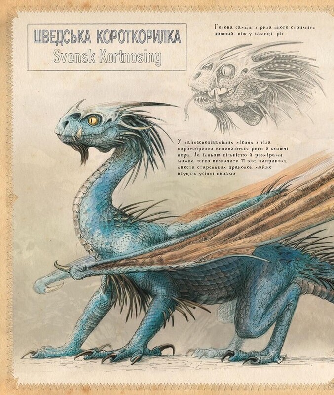 Гаррі Поттер. Книга 4: Гаррі Поттер і Келих Вогню. Велике ілюстроване видання / Джоан Ролінґ