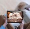 Фото - Чохол-книжка BeCover Soft Edge TPU з кріпленням Apple Pencil для Apple iPad Air 11" M4 2026 Gray (715258) | click.ua