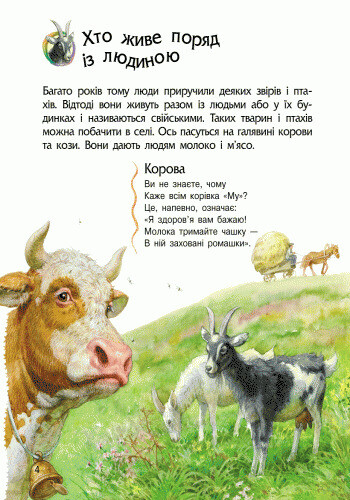 Енциклопедія дошкільника. Тварини / Юлія Каспарова