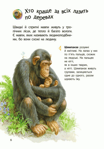 Енциклопедія дошкільника. Тварини / Юлія Каспарова