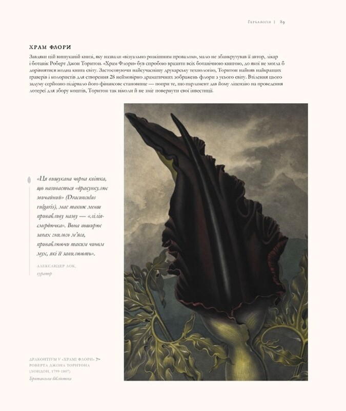 Гарри Поттер: История магии. Большое иллюстрированное издание / Джоан Роулинг