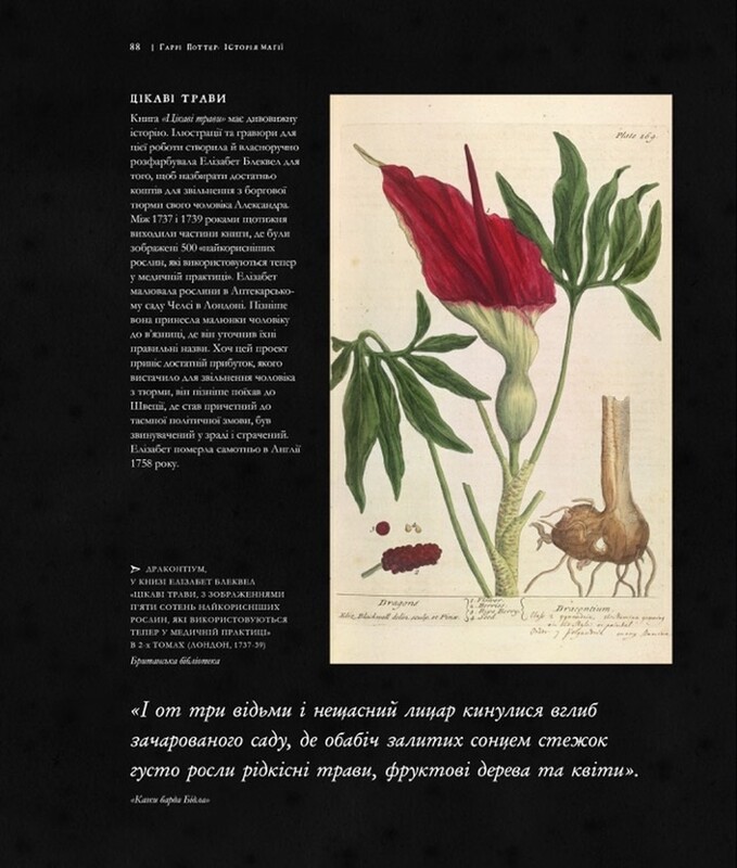 Гарри Поттер: История магии. Большое иллюстрированное издание / Джоан Роулинг