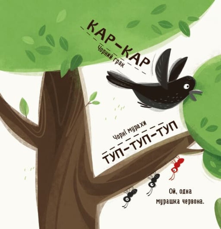 Бодя изучает цвета и звуки / Марта Галевская-Кустра