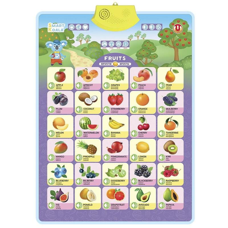 Постер интерактивный Smart Koala Фрукты (SKCIF3)