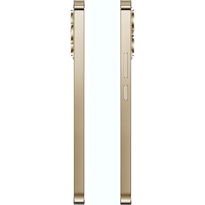 Смартфон Oukitel P1 Pro 8/512GB Gold (6941749824806)