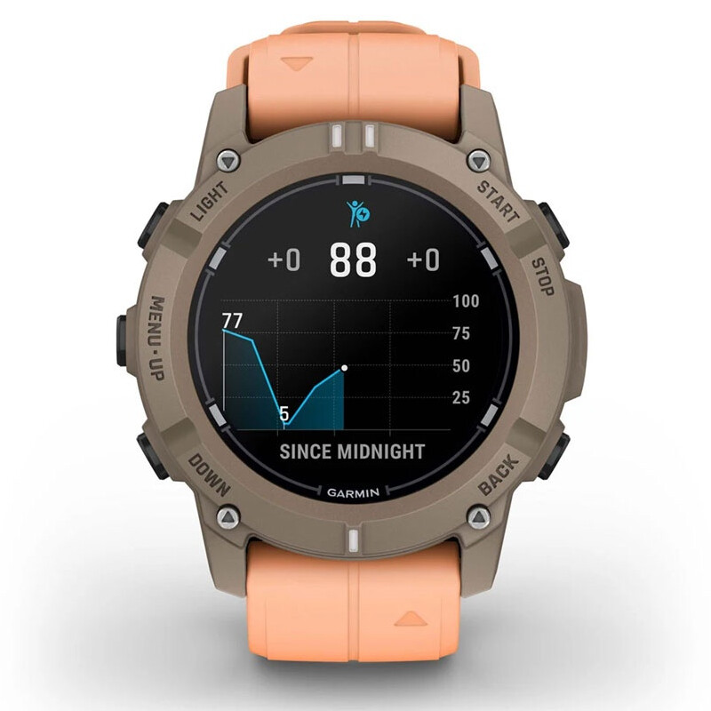 Смарт-часы Garmin Descent G2 Paloma with Shell Pink Band (010-02986-01)