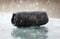 Фото - Акустична система JBL Charge 5 Black (JBLCHARGE5BLK) | click.ua