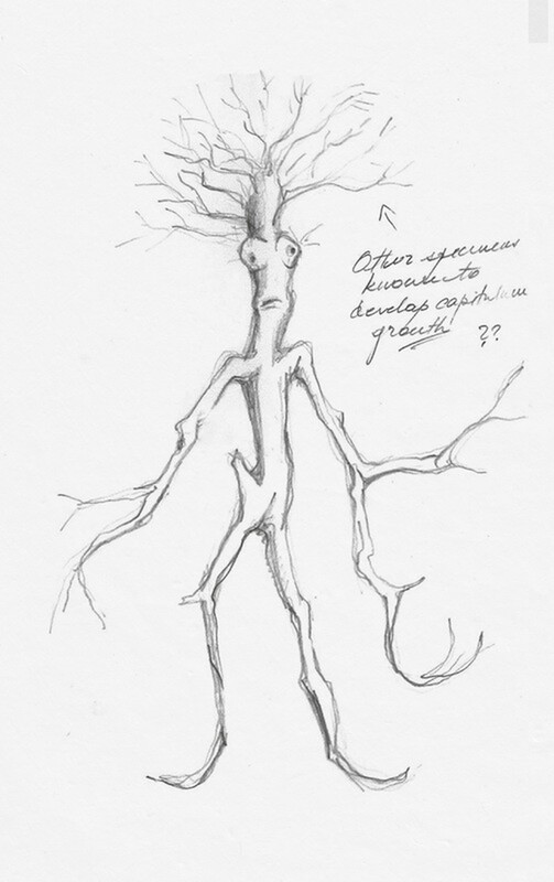 Фантастические звери. Тайны Дамблдора. Оригинальный сценарий / Джоан Роулинг, Стив Кловз