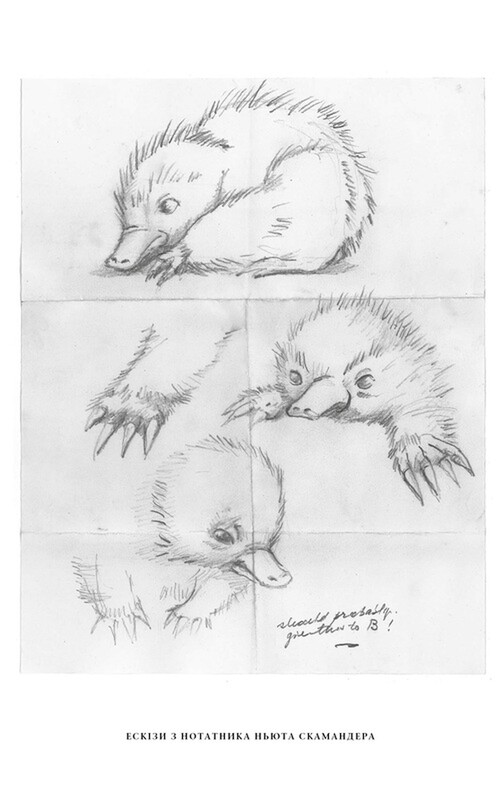 Фантастические звери. Тайны Дамблдора. Оригинальный сценарий / Джоан Роулинг, Стив Кловз