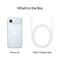 Фото - Смартфон Apple iPhone Air 256GB Sky Blue (MG2P4AF/A) | click.ua