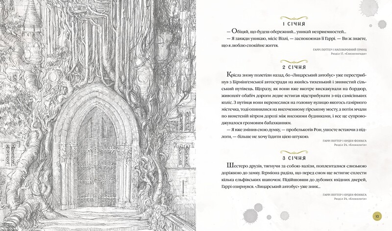 Гарри Поттер. Волшебный год. Большое иллюстрированное издание / Джоан Роулинг