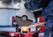 Фото - Круг отрезной Bosch Professional Standard (2.608.619.776) | click.ua