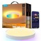 Фото - Світильник стельовий Govee Smart Ceiling Light Pro 2700-6500K White (H60A6C01) | click.ua