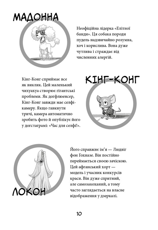 Уличная банда. Книга 2: Схитрил – уже почти победил! / Келли Стронк