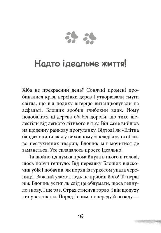 Уличная банда. Книга 2: Схитрил – уже почти победил! / Келли Стронк