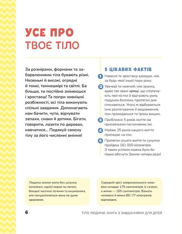 Тело человека. Развивающие задания для детей / Кэти Стокс