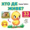 Фото - 33 окошка. Кто где живет? / Анна Чубач | click.ua