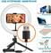 Фото - Кільцева USB LED-лампа ACCLAB Ring of Light AL-LR101MB + мікрофон і Bluetooth керування (1283126502057) | click.ua