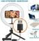 Фото - Кольцевая USB LED-лампа ACCLAB Ring of Light AL-LR101 (1283126502033) | click.ua